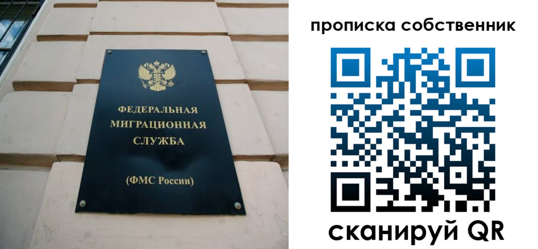 прописка законно в Ардоне
